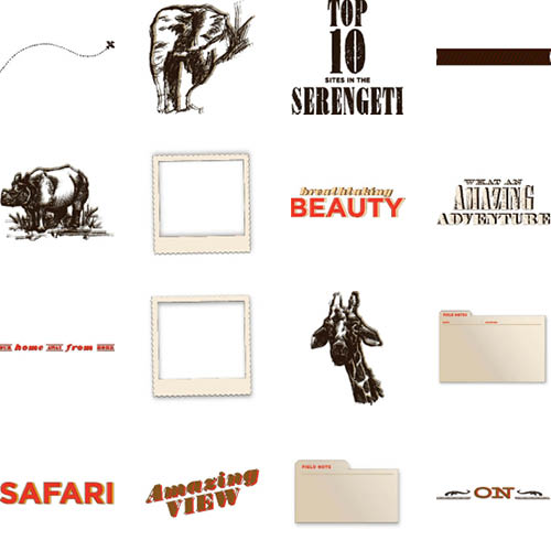 Passport to Africa Photo Book Shutterfly