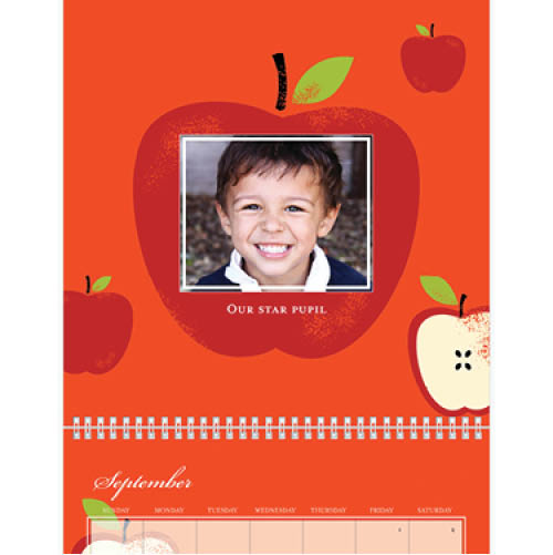 Bold Seasons Wall Calendar, 12x12